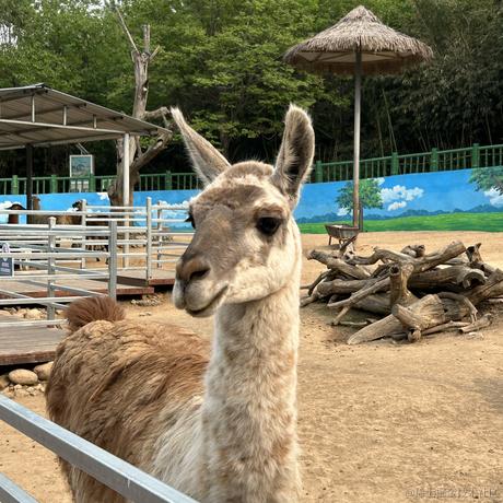 用户7617623340230于2023-04-26 22:56发布的图片