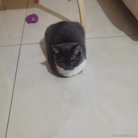 二十一一于2023-05-28 20:19发布的图片