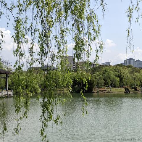 Dg于2023-03-29 23:28发布的图片