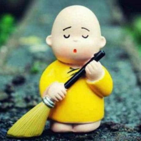 冬日暖阳一片云于2023-11-09 09:25发布的图片