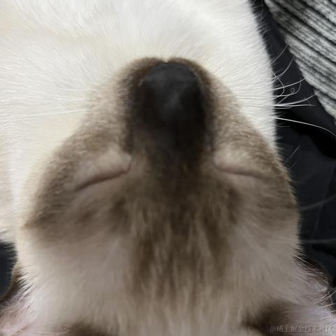 近战仙师于2022-09-20 10:49发布的图片