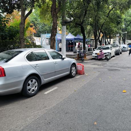 草学长大集结于2022-11-13 01:07发布的图片