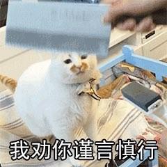 牛与猪于2021-11-24 14:16发布的图片