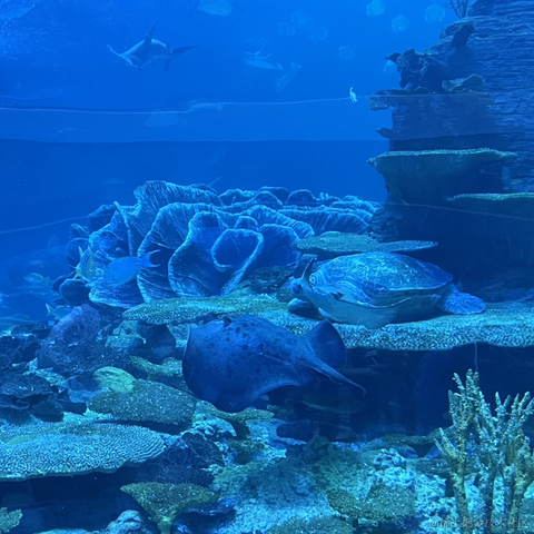 我是个靓崽于2023-04-23 22:39发布的图片