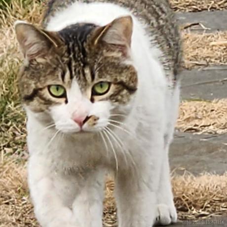 青鸾载我于2023-06-19 16:23发布的图片