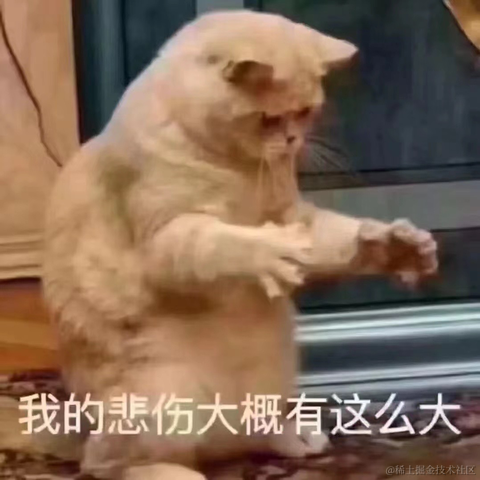 月下小奶猫于2022-09-03 23:20发布的图片