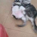 Easin于2022-09-06 17:30发布的图片