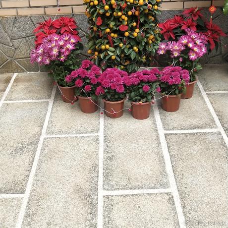 嘿了一下于2023-01-26 11:39发布的图片