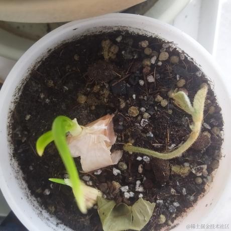 newborn于2020-08-22 18:42发布的图片