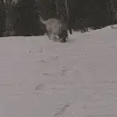 keybird于2024-05-12 21:45发布的图片