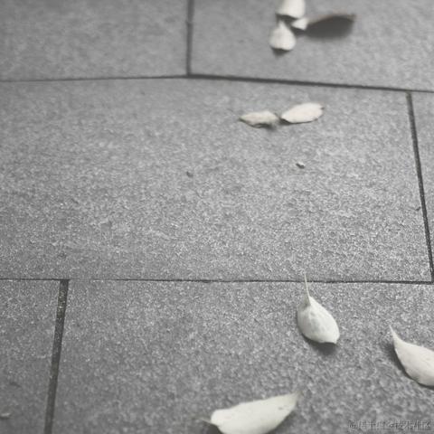 劫持流星计划于2023-04-14 23:17发布的图片