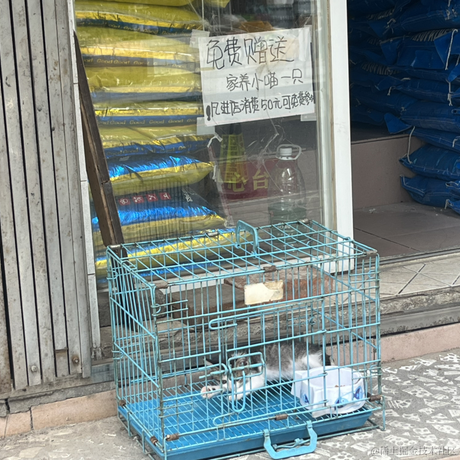 好奇派对于2023-06-25 11:04发布的图片