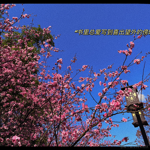 人来人_往_于2023-03-15 17:50发布的图片