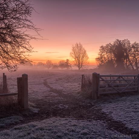 超级阿岳于2023-12-26 09:17发布的图片