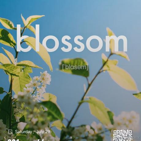 totoo于2023-07-29 13:01发布的图片