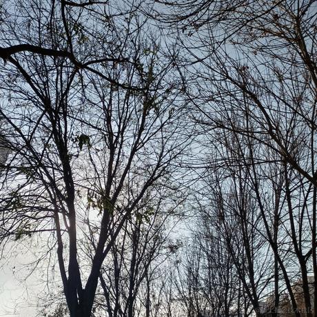 小碗顶晚喵于2022-12-04 10:45发布的图片