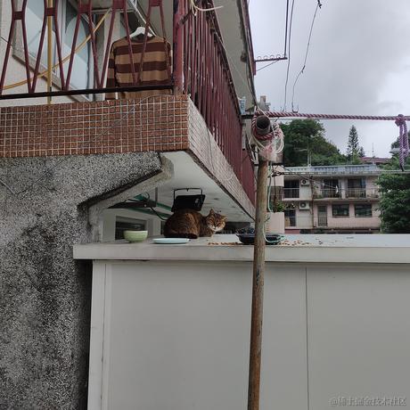 枝江最甜草莓嘉心棉花糖于2022-12-01 08:40发布的图片