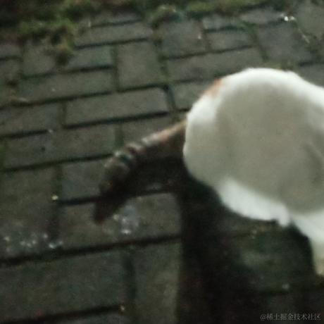 方方土105于2022-11-21 13:11发布的图片