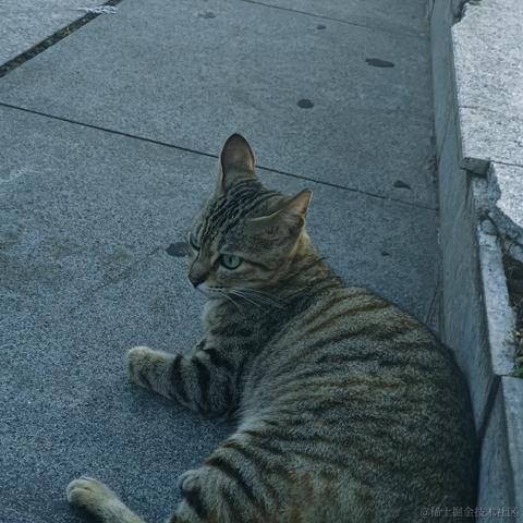 关注乃琳谢谢尬于2023-06-23 20:41发布的图片