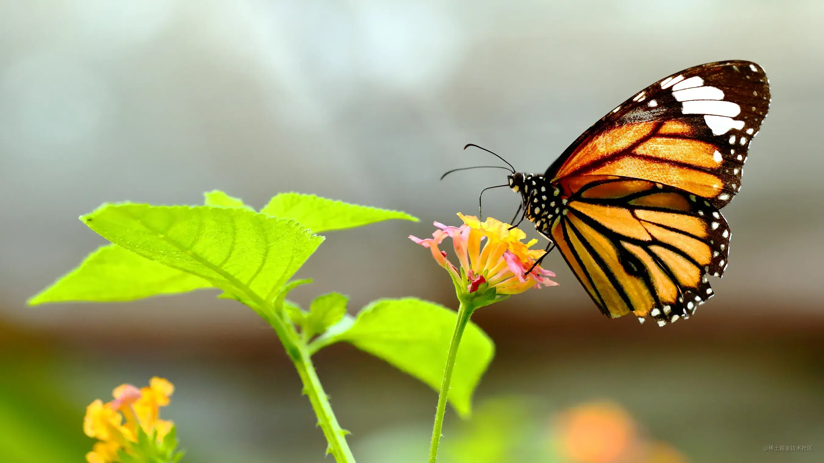 安卓开发经验总结