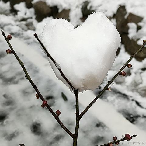 困困ki拉于2022-11-29 01:12发布的图片