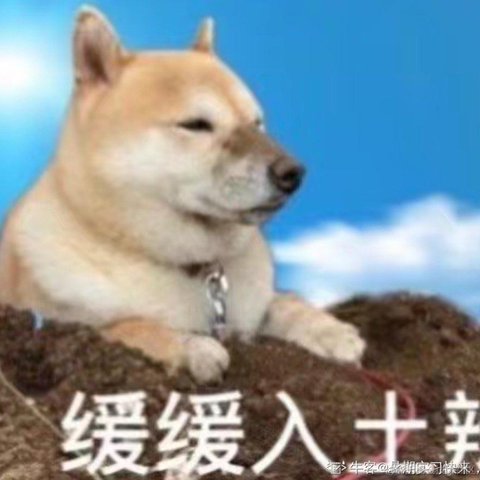 木讷的树a于2023-08-21 11:23发布的图片