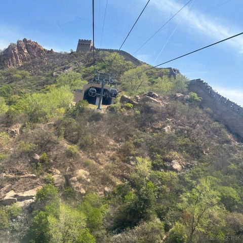 树洞robot于2023-05-02 20:24发布的图片