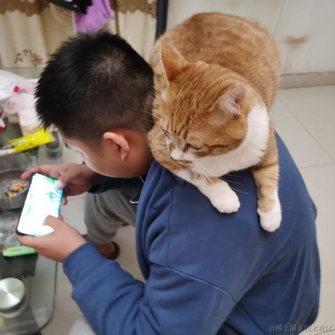 en送你一朵小红花于2023-01-12 09:40发布的图片