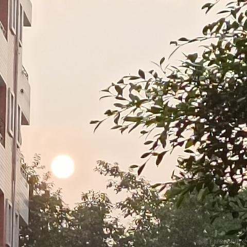 bk0717对你心动于2022-11-24 17:31发布的图片