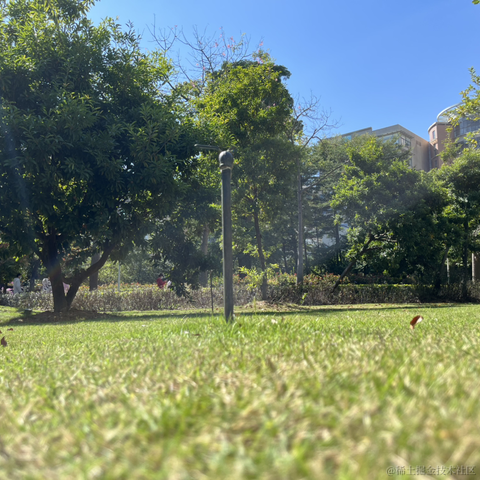 神奇的程序员于2021-11-25 12:38发布的图片