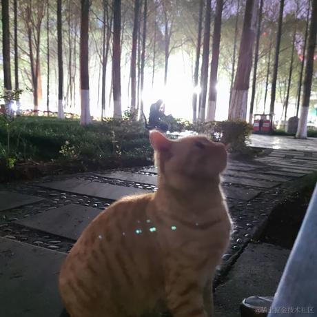 LINer于2023-04-13 22:47发布的图片