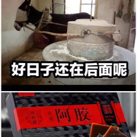 桥兜麻蝶于2022-09-13 09:06发布的图片