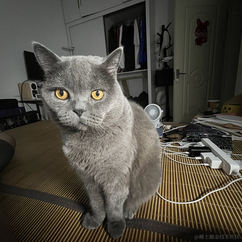 bellaQAQ于2023-06-29 09:58发布的图片