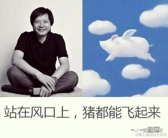 风口上的猪