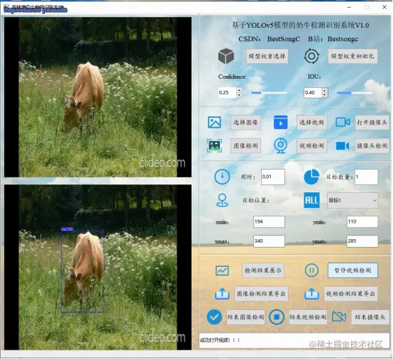 高精度奶牛检测识别系统12576.png