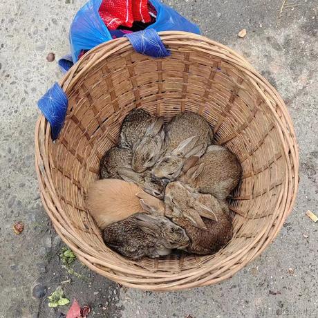 指挥点点点的手工测试于2023-01-18 14:16发布的图片