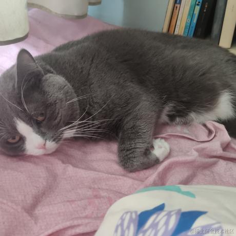 啊毛毛于2022-12-09 22:56发布的图片