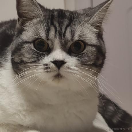 吃鱼的不一定是猫于2024-02-19 13:15发布的图片