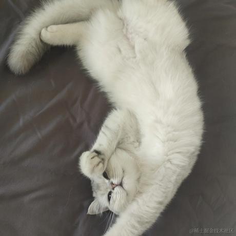 ZERO丶D于2022-09-19 20:30发布的图片