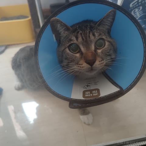 林雨一直走于2023-06-11 17:20发布的图片