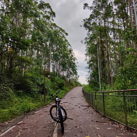 媛媛啊9813于2024-05-01 21:57发布的图片