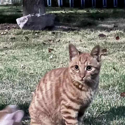 Coca_Cola于2022-12-02 20:30发布的图片