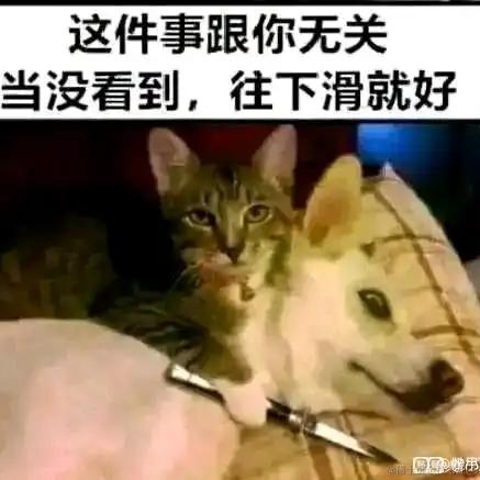 彭本芳于2022-11-29 12:25发布的图片