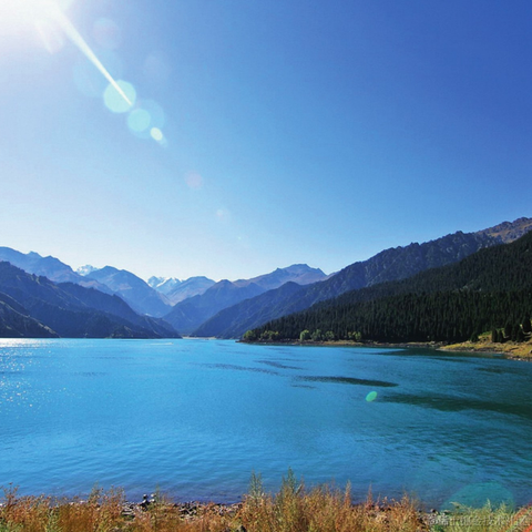 手可摘棉花于2022-12-17 10:46发布的图片