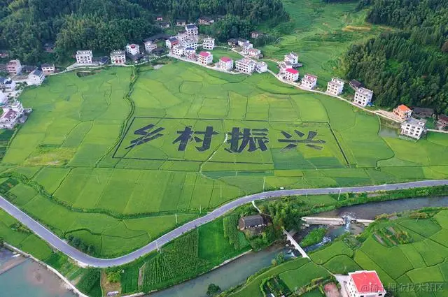 图片12.png