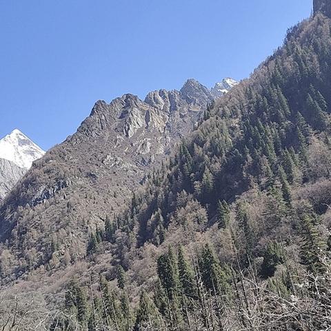 快乐的小菜鸟118于2023-04-19 10:11发布的图片