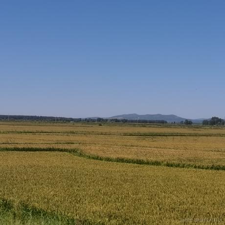 月季花于2022-12-02 13:34发布的图片