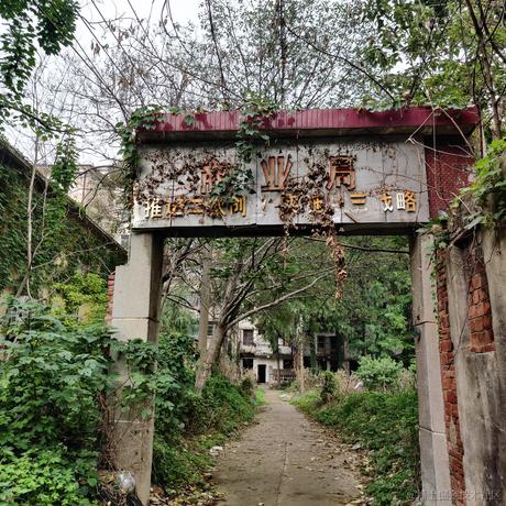 蓬蒿烂人于2022-11-25 09:43发布的图片