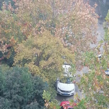 萧兮于2022-11-10 15:42发布的图片