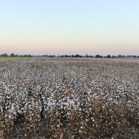 越南嘉心糖于2022-11-09 01:07发布的图片